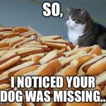 Too many hot dogs | SO, I NOTICED YOUR DOG WAS MISSING... | image tagged in too many hot dogs | made w/ Imgflip meme maker