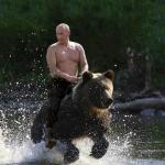 Putin Riding a bear meme