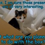 Meow you've got her attention :) | Yes, I am sure those presents are all very interesting. But what are you planning to do with the box? | image tagged in cat kitten box,memes,christmas,priorities | made w/ Imgflip meme maker