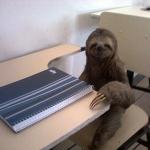Sloth Sitting at Desk