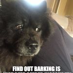 Epiphany Chow | WHAT IF CATS FIND OUT BARKING IS JUST DEEP SEEDED INSECURITY MANIFESTING ITSELF | image tagged in epiphany chow | made w/ Imgflip meme maker