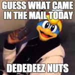 Dededeez Nuts | GUESS WHAT CAME IN THE MAIL TODAY DEDEDEEZ NUTS | image tagged in dededeez nuts | made w/ Imgflip meme maker