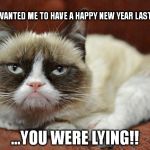 Grumpy Cat New Year | IF YOU WANTED ME TO HAVE A HAPPY NEW YEAR LAST YEAR... ...YOU WERE LYING!! | image tagged in grumpy cat new year | made w/ Imgflip meme maker