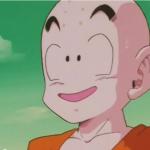 Krillin- You have such a beautiful language