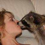 kiss racoon