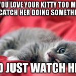 Socialist Kitty | DO YOU LOVE YOUR KITTY TOO MUCH IF YOU CATCH HER DOING SOMETHING BAD AND JUST WATCH HER? | image tagged in socialist kitty | made w/ Imgflip meme maker