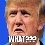 Donald trump crying | WHAT??? | image tagged in donald trump crying | made w/ Imgflip meme maker