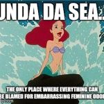 Ariel | UNDA DA SEA... THE ONLY PLACE WHERE EVERYTHING CAN BE BLAMED FOR EMBARRASSING FEMININE ODOR. | image tagged in ariel | made w/ Imgflip meme maker