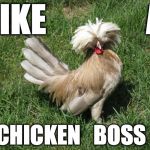 Chicken Boss | LIKE               A CHICKEN   BOSS | image tagged in chicken boss | made w/ Imgflip meme maker