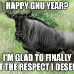 You gnu it was coming. | HAPPY GNU YEAR? I'M GLAD TO FINALLY GET THE RESPECT I DESERVE | image tagged in gnu,inferno390 | made w/ Imgflip meme maker