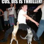 Cats Dancing | CUS, DIS IS THRILLER! | image tagged in cats dancing | made w/ Imgflip meme maker