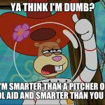 Ya Think I'm Dumb? | YA THINK I'M DUMB? I'M SMARTER THAN A PITCHER OF KOOL AID AND SMARTER THAN YOU ARE. | image tagged in sandy cheeks - tough,memes,spongebob squarepants,sandy cheeks cowboy hat,texas girl,insult | made w/ Imgflip meme maker