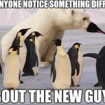 Undercover Boss, South Pole | HEY, ANYONE NOTICE SOMETHING DIFFERENT ABOUT THE NEW GUY? | image tagged in memes | made w/ Imgflip meme maker