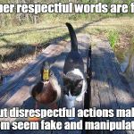 Advice mallard to cat | Super respectful words are fine But disrespectful actions make them seem fake and manipulative | image tagged in advice mallard to cat | made w/ Imgflip meme maker