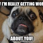 Pug worried | NOW I'M REALLY GETTING WORRIED ABOUT YOU! | image tagged in pug worried | made w/ Imgflip meme maker