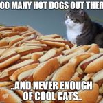 Cat Hot Dogs | TOO MANY HOT DOGS OUT THERE ..AND NEVER ENOUGH OF COOL CATS.. | image tagged in cat hot dogs | made w/ Imgflip meme maker