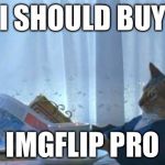Put ideas in the comments on how to improve imgflip revenue generation in 2016 | I SHOULD BUY IMGFLIP PRO | image tagged in i should buy a boat cat,memes,imgflip | made w/ Imgflip meme maker
