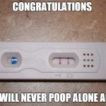 Pregnant  | CONGRATULATIONS YOU WILL NEVER POOP ALONE AGAIN | image tagged in pregnant | made w/ Imgflip meme maker