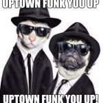 Blues Brothers Animals | UPTOWN FUNK YOU UP UPTOWN FUNK YOU UP! | image tagged in blues brothers animals | made w/ Imgflip meme maker