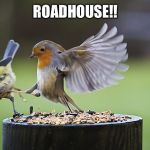 Kicking Sparrow | ROADHOUSE!! | image tagged in kicking sparrow | made w/ Imgflip meme maker