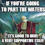 Moses Offers a Pun | IF YOU'RE GOING TO PART THE WATERS IT'S GOOD TO HAVE A VERY SUPPORTIVE STAFF | image tagged in moses,funny memes,puns | made w/ Imgflip meme maker