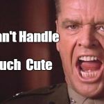 Jack Nicholson | You Can't Handle So  Much  Cute | image tagged in jack nicholson | made w/ Imgflip meme maker