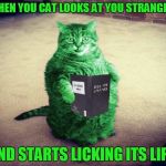 a cat meme | WHEN YOU CAT LOOKS AT YOU STRANGELY AND STARTS LICKING ITS LIPS | image tagged in best raycat meme eva,memes | made w/ Imgflip meme maker