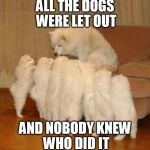 Storytelling Dog | ALL THE DOGS WERE LET OUT AND NOBODY KNEW WHO DID IT | image tagged in storytelling dog 2,memes | made w/ Imgflip meme maker