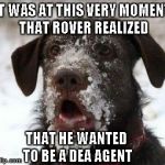 Don't you just love it when you find your calling? | IT WAS AT THIS VERY MOMENT THAT ROVER REALIZED THAT HE WANTED TO BE A DEA AGENT | image tagged in snow face dog,funny dogs,funny,memes,funny animals,dog | made w/ Imgflip meme maker