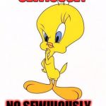 tweety | SEWIOUSLY NO SEWUIOUSLY | image tagged in tweety | made w/ Imgflip meme maker