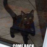 Pleading Kitty | MOMMY! PLEEEEEASE COME BACK INSIDE!!!! | image tagged in pleading kitty | made w/ Imgflip meme maker