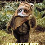 Grumpy Ewok | I'M A LITTLE EWOK SHORT AND STOUT... I FORGET THE REST OF THIS SONG... | image tagged in grumpy ewok | made w/ Imgflip meme maker