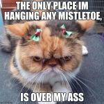 grumpy Christmas cat | THE ONLY PLACE IM HANGING ANY MISTLETOE, IS OVER MY ASS | image tagged in grumpy christmas cat | made w/ Imgflip meme maker