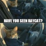 Boat Cat in Car | HAVE YOU SEEN RAYCAT? OH YEAH... IT IS ME | image tagged in boat cat in car,memes,raycat | made w/ Imgflip meme maker