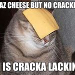 Cats with cheese | I HAZ CHEESE BUT NO CRACKERZ I IS CRACKA LACKIN | image tagged in cats with cheese | made w/ Imgflip meme maker