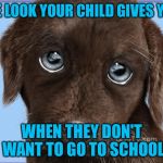 Puppy dog eyes | THE LOOK YOUR CHILD GIVES YOU WHEN THEY DON'T WANT TO GO TO SCHOOL | image tagged in puppy dog eyes | made w/ Imgflip meme maker