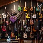 Steve Vai Guitars