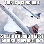 Concorde | THIS IS A CONCORDE IT'S BEAUTIFUL AND MAJESTIC AN AIRBUS BELUGA ISN'T | image tagged in concorde | made w/ Imgflip meme maker
