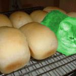 Loaf RayCat meme