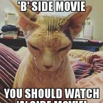 Old, bald, grumpy, unimpressed, overachieving Asian cat | WHY YOU WATCH 'B' SIDE MOVIE YOU SHOULD WATCH 'A' SIDE MOVIE! | image tagged in extra grumpy bald cat | made w/ Imgflip meme maker