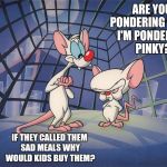 pinky and the brain | ARE YOU PONDERING WHAT I'M PONDERING PINKY? IF THEY CALLED THEM SAD MEALS WHY WOULD KIDS BUY THEM? | image tagged in pinky and the brain | made w/ Imgflip meme maker