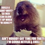 Out of Work Beaver  | BUILD A DAM? WHY? SO MEN CAN BLOW IT UP WHEN I'M DONE?? AIN'T NOBODY GOT TIME FOR THAT!! I'M GONNA NETFLIX & CHILL | image tagged in beaver,meme,funny,unemployed | made w/ Imgflip meme maker