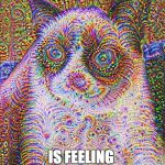 Trippy Cat | GRUMPY CAT IS FEELING  DIFFERENTLY NOW | image tagged in trippy cat | made w/ Imgflip meme maker