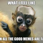Dead M0nk3y | WHAT I FEEL LIKE WHEN ALL THE GOOD MEMES ARE TAKEN | image tagged in dead m0nk3y,funny memes,pissed off obama,donald trump | made w/ Imgflip meme maker