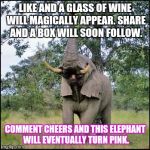 elephant | LIKE AND A GLASS OF WINE WILL MAGICALLY APPEAR. SHARE AND A BOX WILL SOON FOLLOW. COMMENT CHEERS AND THIS ELEPHANT WILL EVENTUALLY TURN PINK | image tagged in elephant | made w/ Imgflip meme maker