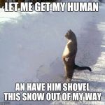 cats | LET ME GET MY HUMAN AN HAVE HIM SHOVEL THIS SNOW OUT OF MY WAY | image tagged in cats | made w/ Imgflip meme maker