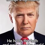 Legend in his own mind | How does Donald change a lightbulb? He holds the bulb and waits for the world to revolve around him. | image tagged in donald trump | made w/ Imgflip meme maker