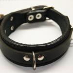 bdsm collar