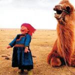 Happy Kid Camel meme