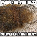 Hair Ball | PARDON ME, WAITRESS THERE SEEMS TO BE A HAIR IN MY SALAD | image tagged in hair ball | made w/ Imgflip meme maker
